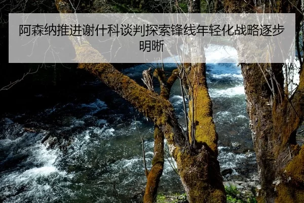阿森纳推进谢什科谈判探索锋线年轻化战略逐步明晰