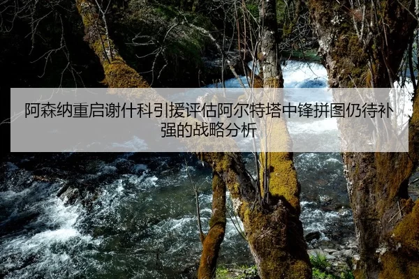 阿森纳重启谢什科引援评估阿尔特塔中锋拼图仍待补强的战略分析
