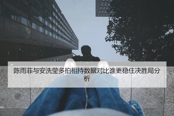 陈雨菲与安洗莹多拍相持数据对比谁更稳住决胜局分析