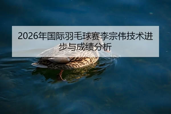 2026年国际羽毛球赛李宗伟技术进步与成绩分析