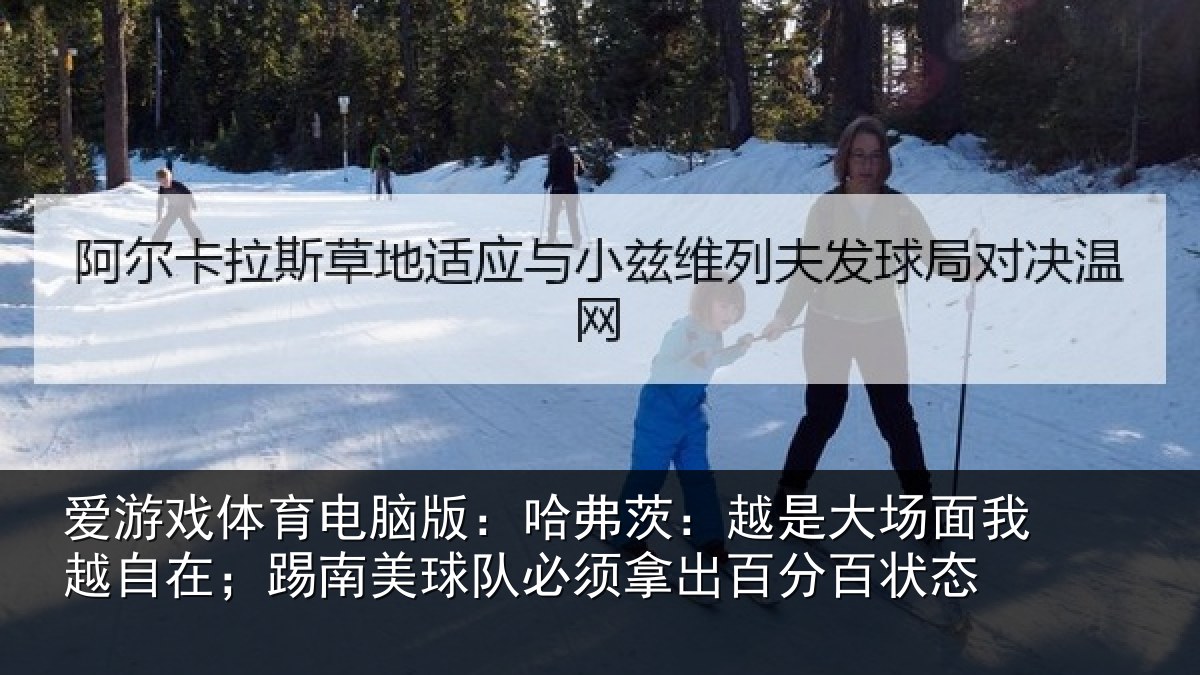 爱游戏体育电脑版:哈弗相关情况自在相关情况出百分百状态