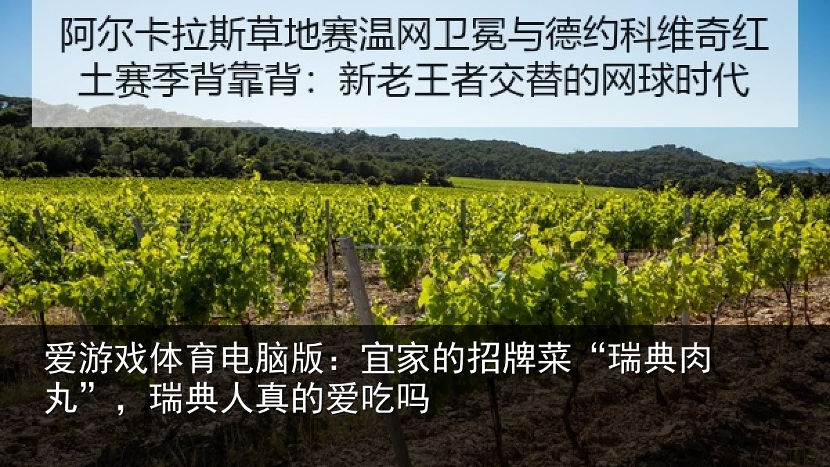 爱游戏体育电脑版：宜家的招牌菜“瑞典肉丸”，瑞典人真的爱吃吗
