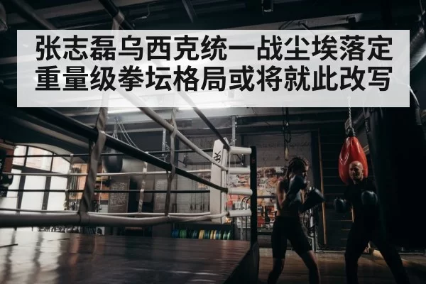 boxer training