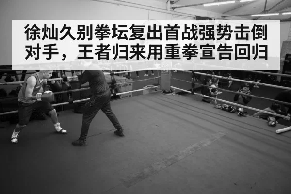 boxer training gym